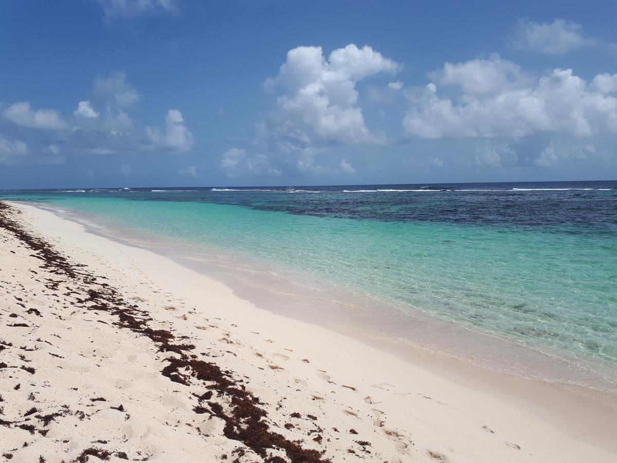 Cannelle * Saint-Francois (Grande-Terre)